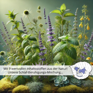 🌿 Schlaf-Beruhigungs-Mischung