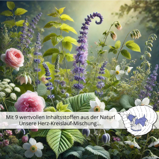 🌿 Herz-Kreislauf-Mischung