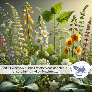 🌿 Immun-Aktiv-Mischung