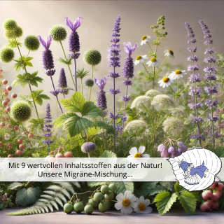 🌿Migräne-Mischung
