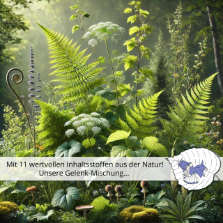 🌿 Gelenk-Mischung