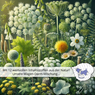 🌿 Magen-Darm-Mischung