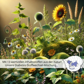 🌿 Diabetes-Stoffwechsel-Mischung